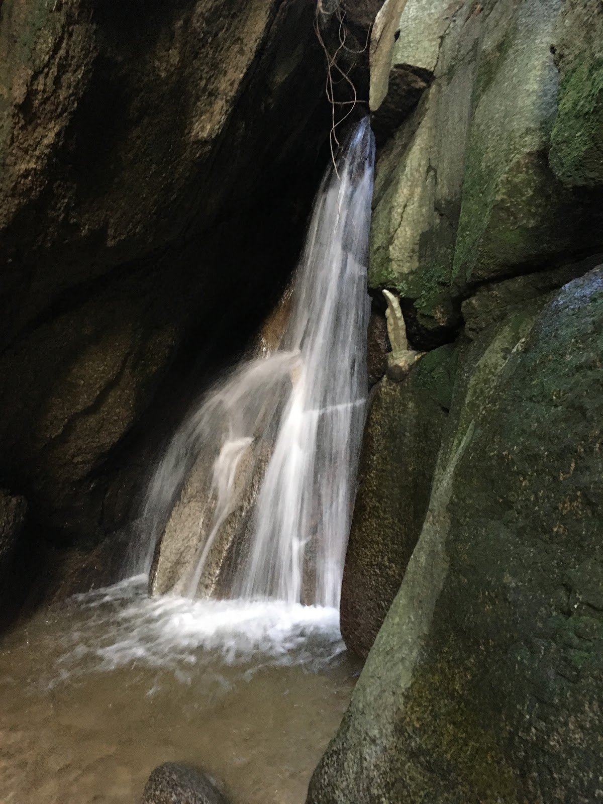 🏞️ 달의 고리 폭포 (츠키노와타키) 이미지 2